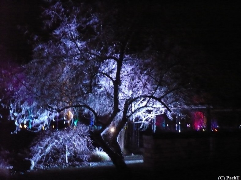 2016.01.01 WINTERLEUCHTEN 31 im egaPark EF