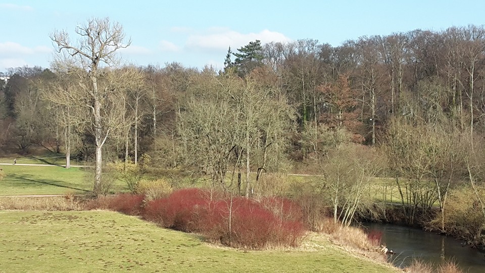 Weimar IlmPark Impression 12 Blick v. Röm. Haus