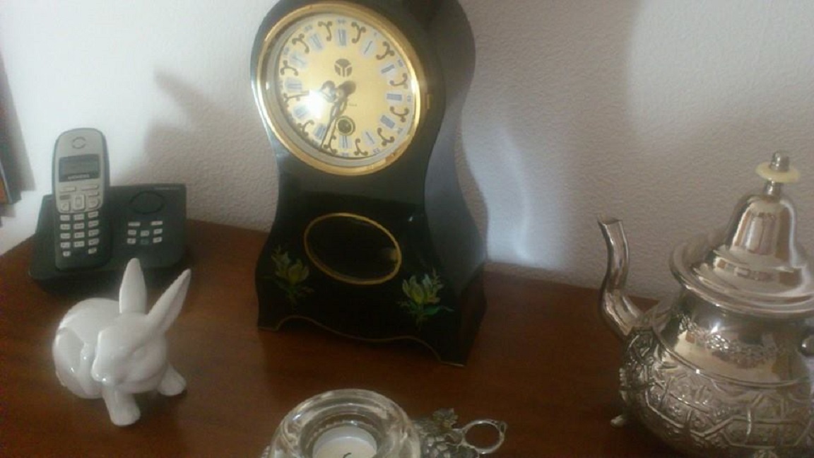 Osterhase - Irrläufer