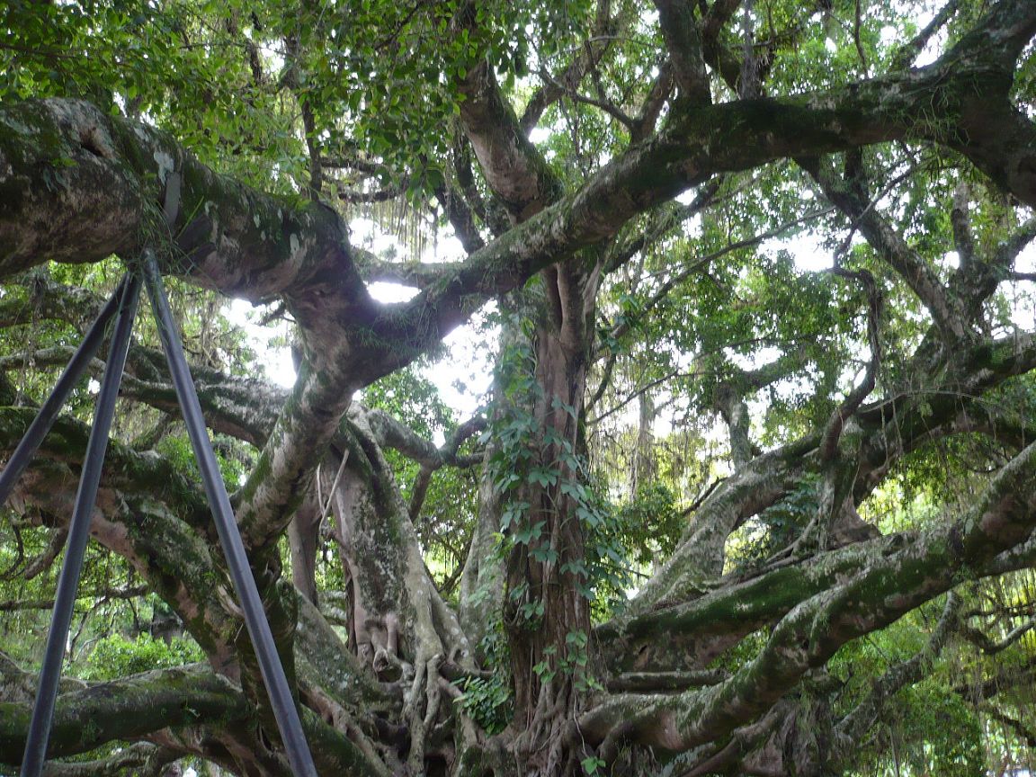 092 6.KSF Florianopolis _ Impressionen