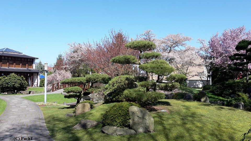 2016.04.21. BdLgs JapanischerGarten 1