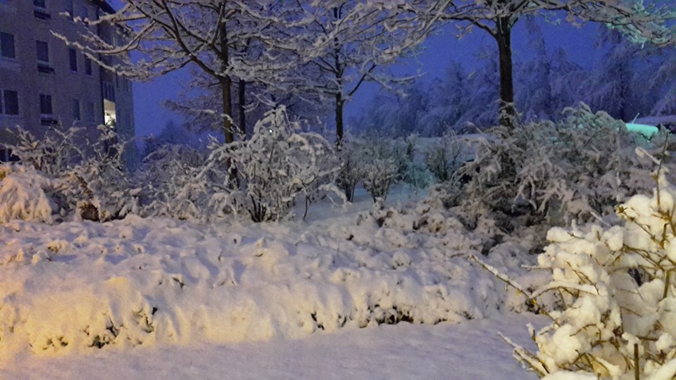 AprilScherz ... NEIN - 01.04.2016 ... 06_20 Uhr