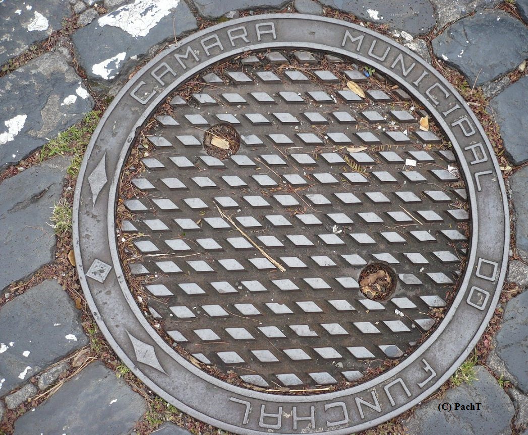 Funchal 4 _ Madeira _ Portugal