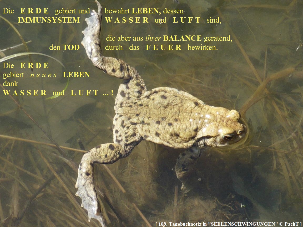 SSW189.Gedanke_VierElemente 3