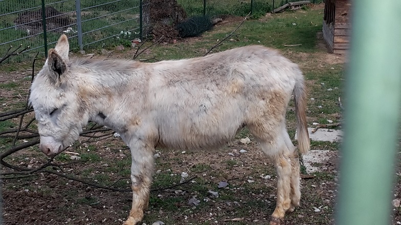 2015.06.03 Wandertag Alte Kameraden 3
