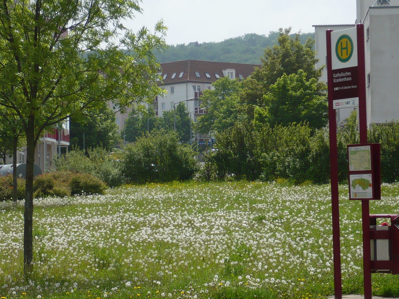 Am Buchberg StadtbahnStopp 2