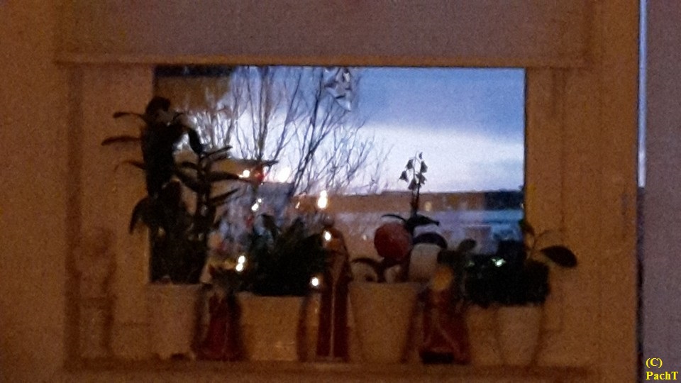 PachTs Blick vom Sessel in den Abend