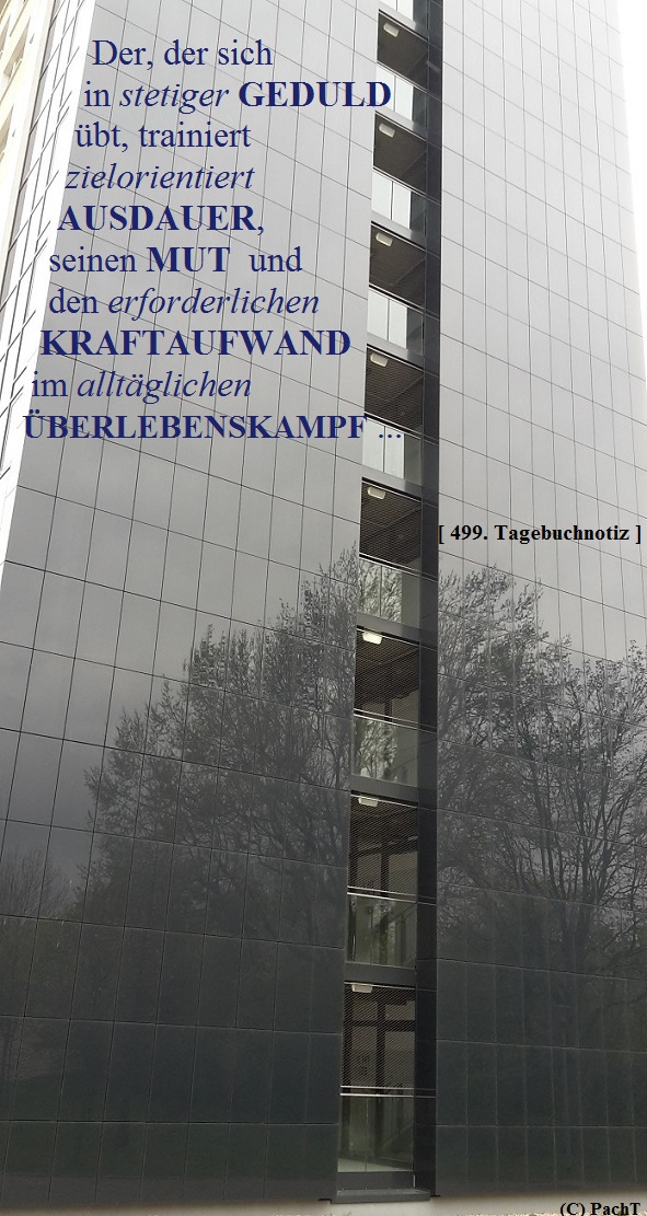 SSW499.Gedanke_Geduld