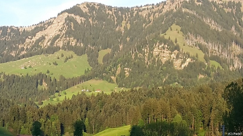 2016.05.23.-28. 016 Blick v. Kirchhof