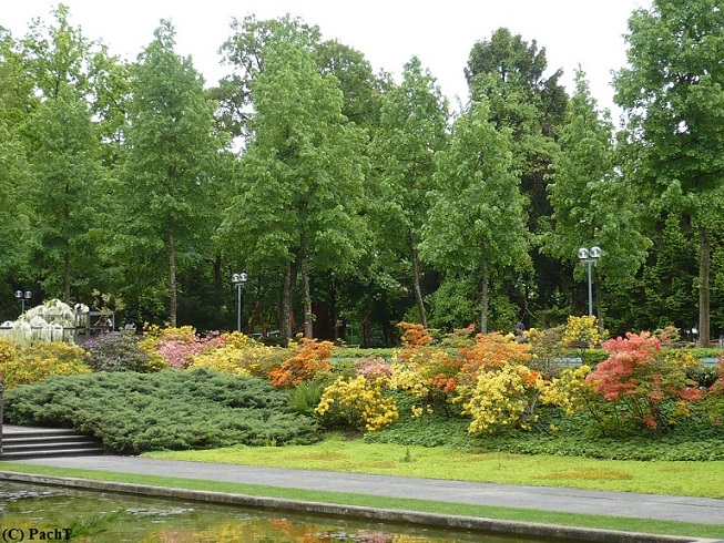 2016.05.23.-28. 040 Bern _ Rosengarten