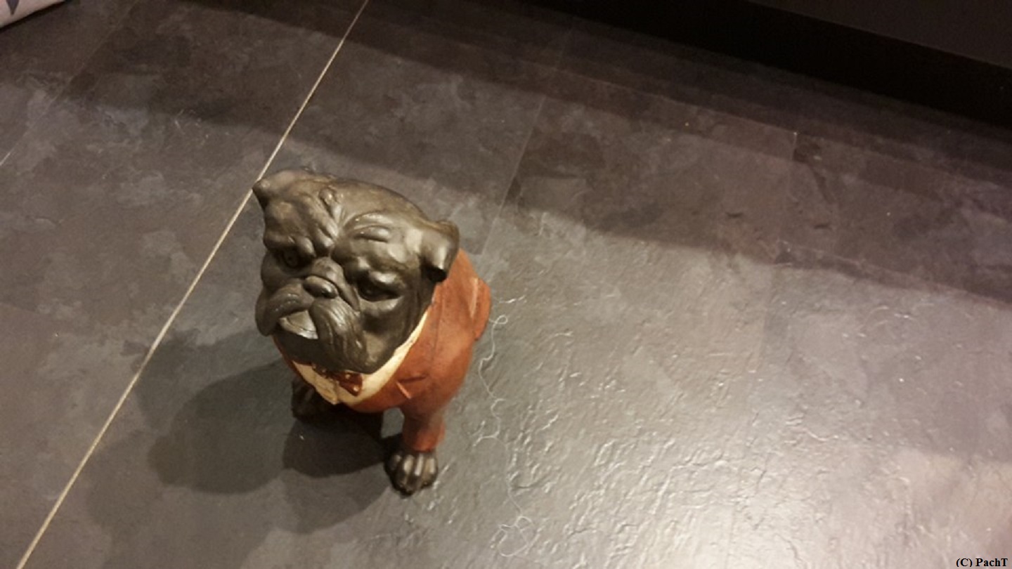 Hund - ein armer Hund