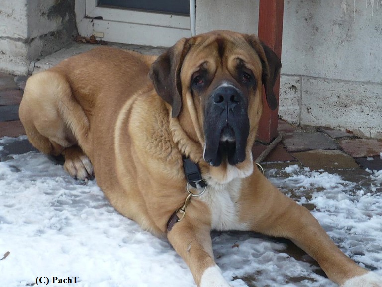 PachT Begegnung andrer Art