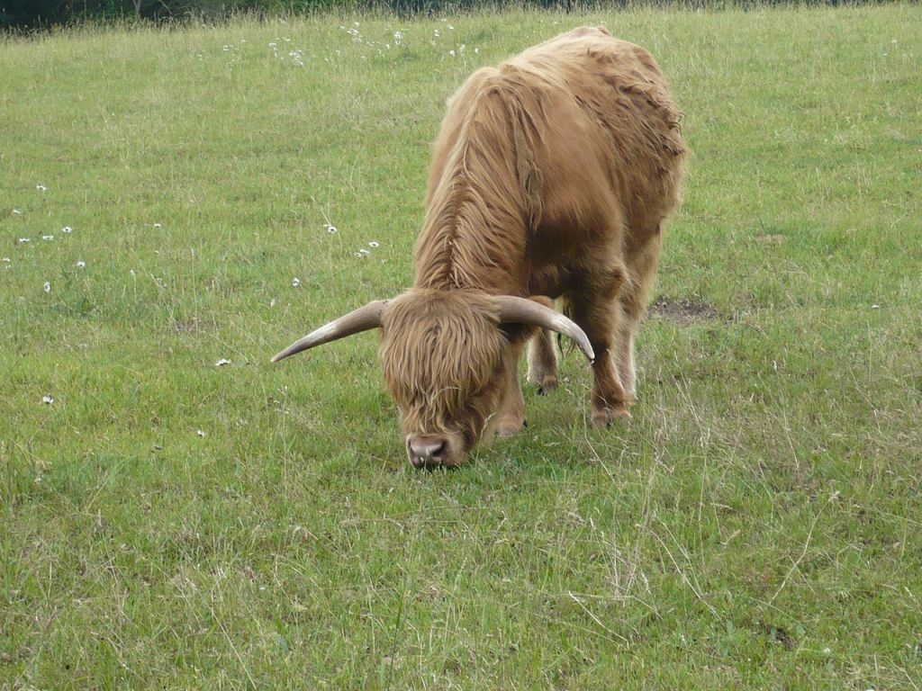 Von BadBerka nach BUCHfart 03 Ignorant