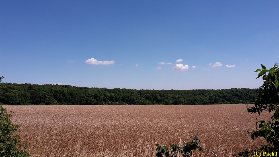 2016.07.19_Bürgerturm Gotha 02 Auf dem Weg