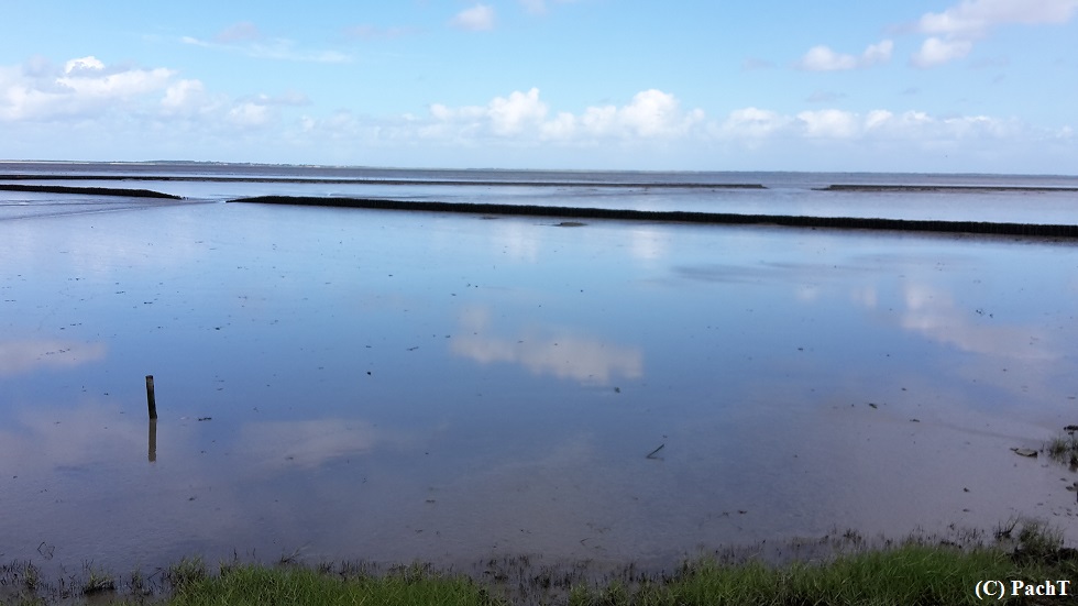 Bensersiel 16 DeichWanderung