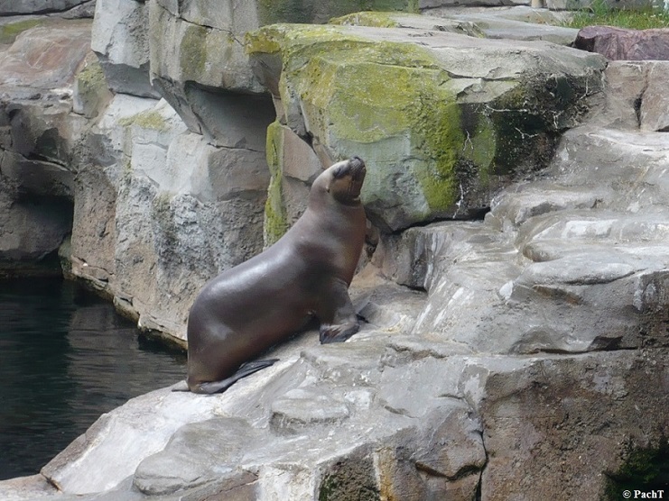 Bremerhaven 05 ZOO 2