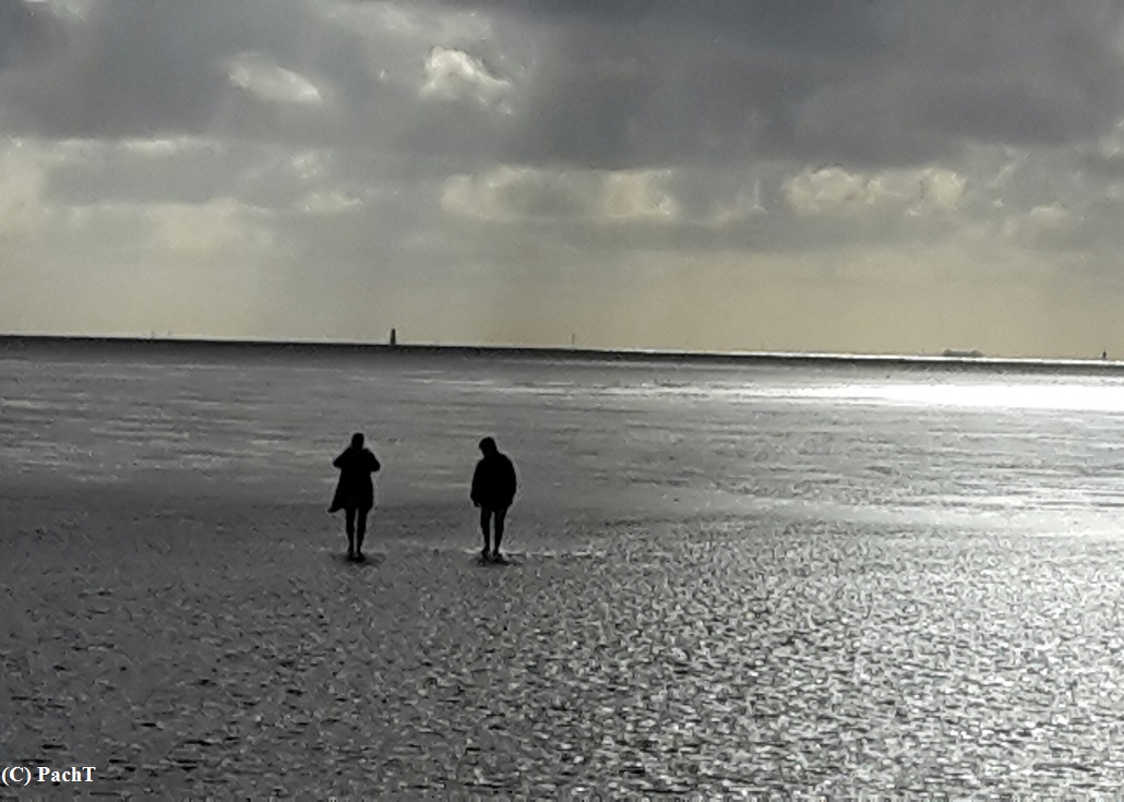 Dorum - Neufeld 20 WattenmeerSpaziergang