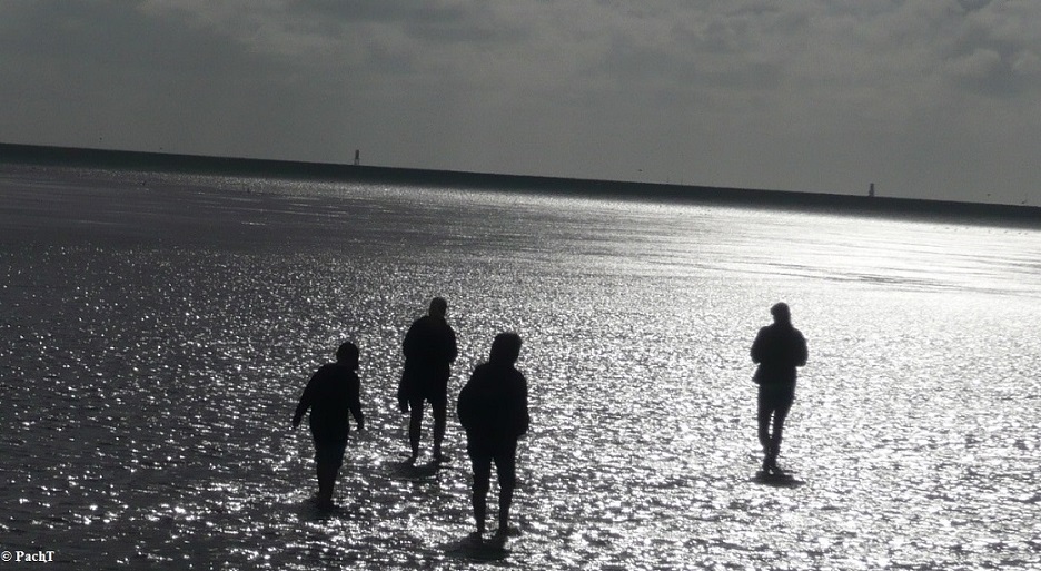 Dorum - Neufeld 21 WattenmeerSpaziergang