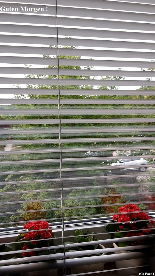 Guten - Morgen - Gruss