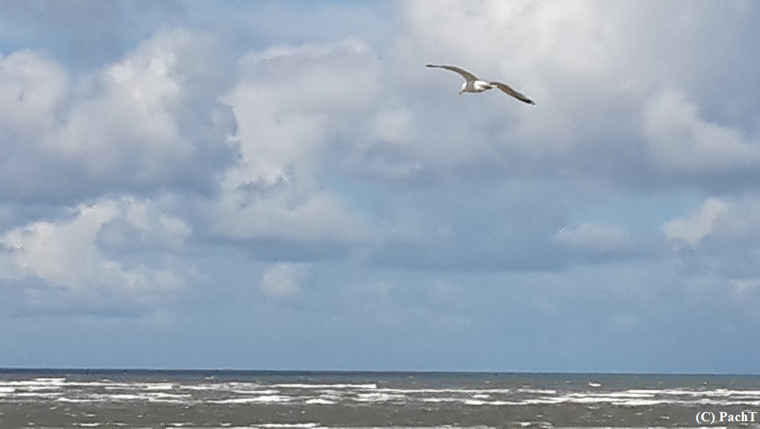 Insel LANGEOOG 07 Blick von der Düne