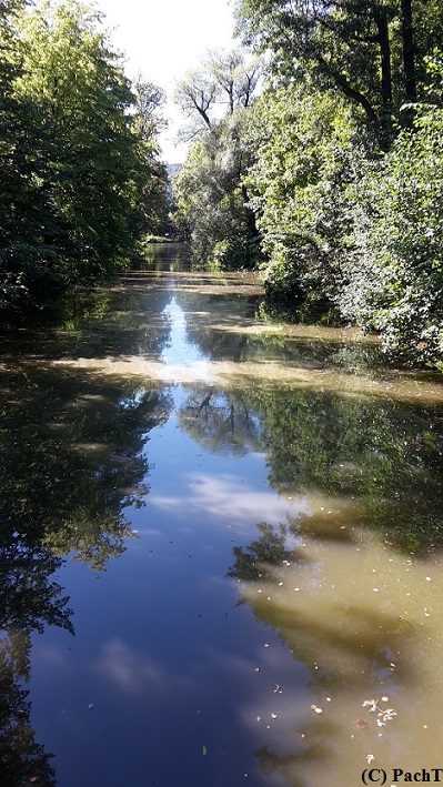 2016.08.30 Hildburghausen 3 SchloßPark