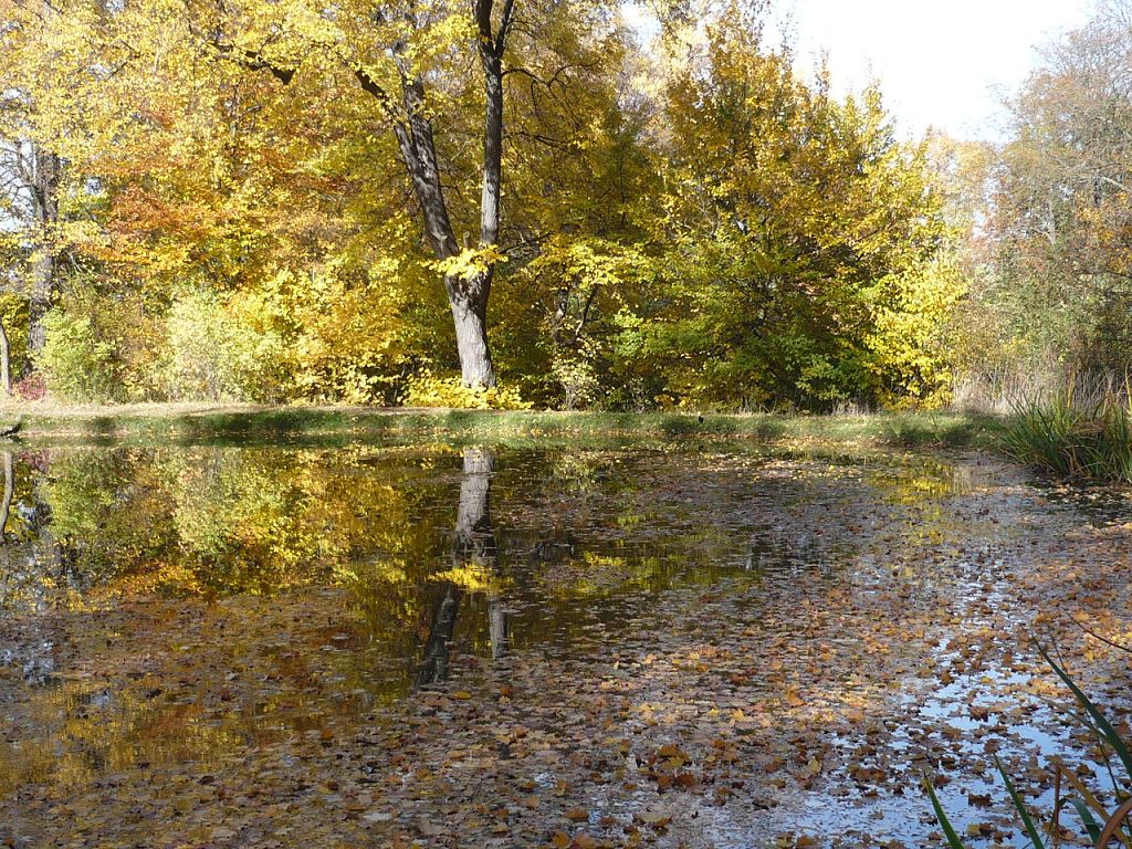 herbst-2012-10-19-01
