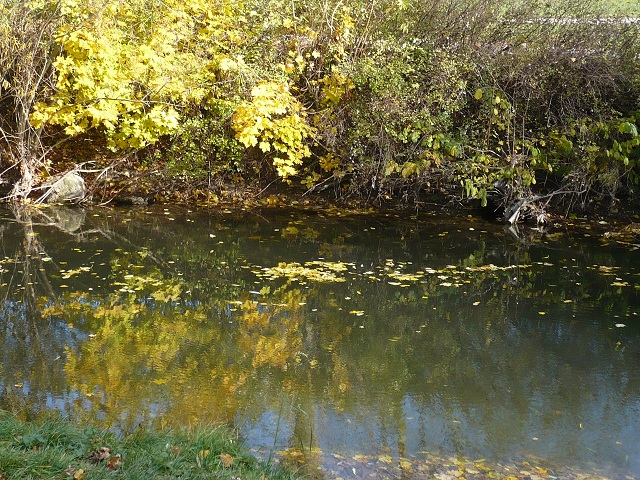 weimar-goethegarthaus-ilmpark-herbst-5-2010