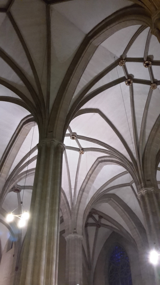 2016-11-27_adv-konzert-dom-zu-ef-7