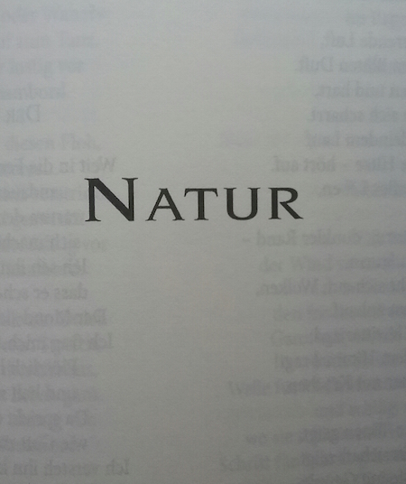 bibliothek-dtschspr-gedichte-2016_-11-bd-xix-_-rubrik