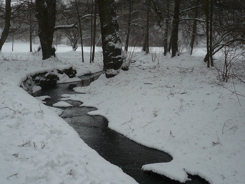 2017-01-09-16-_44-marienbad_cz_impression-spaziergang-4