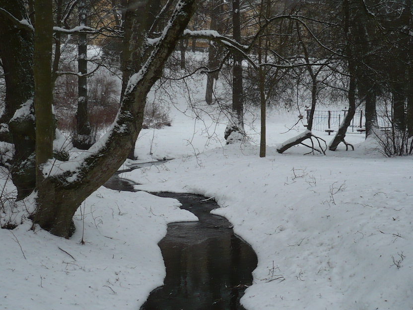 2017-01-09-16-_45-marienbad_cz_impression-spaziergang-4