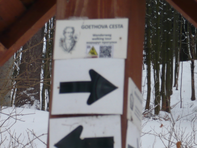 2017-01-09-16-_64-marienbad_cz_impression-spaziergang-6