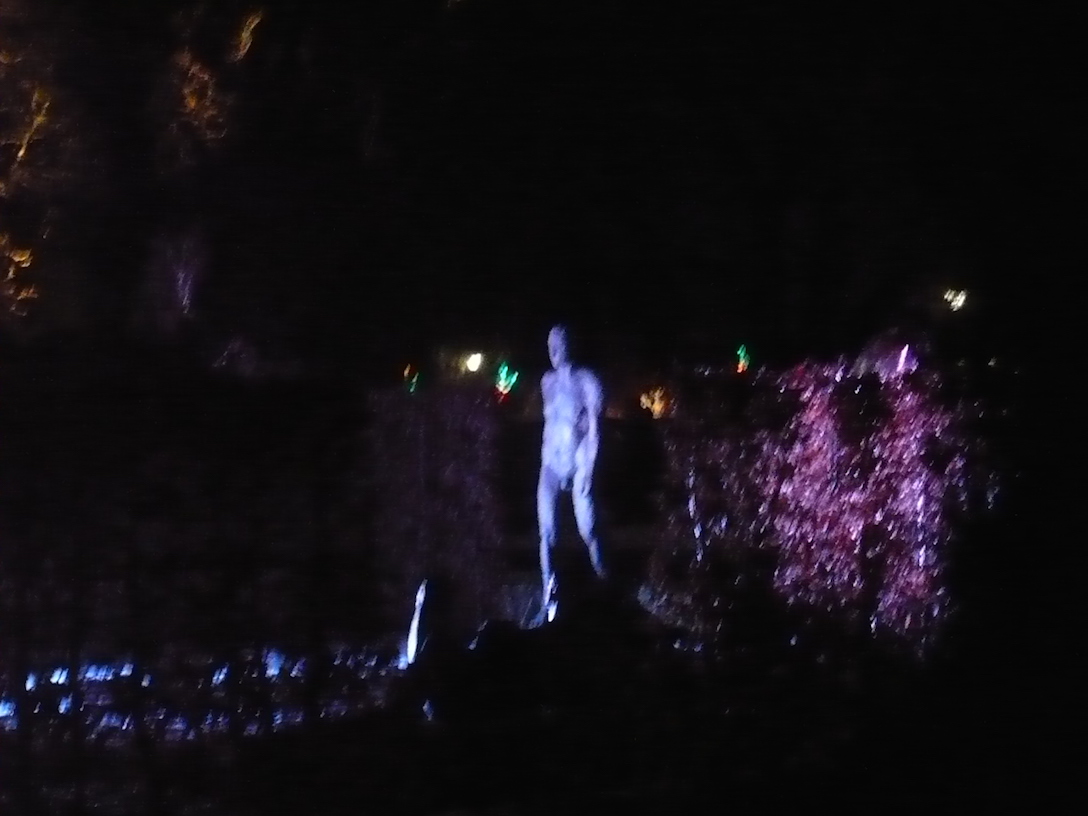 2017-01-29-32-winterleuchten-egapark