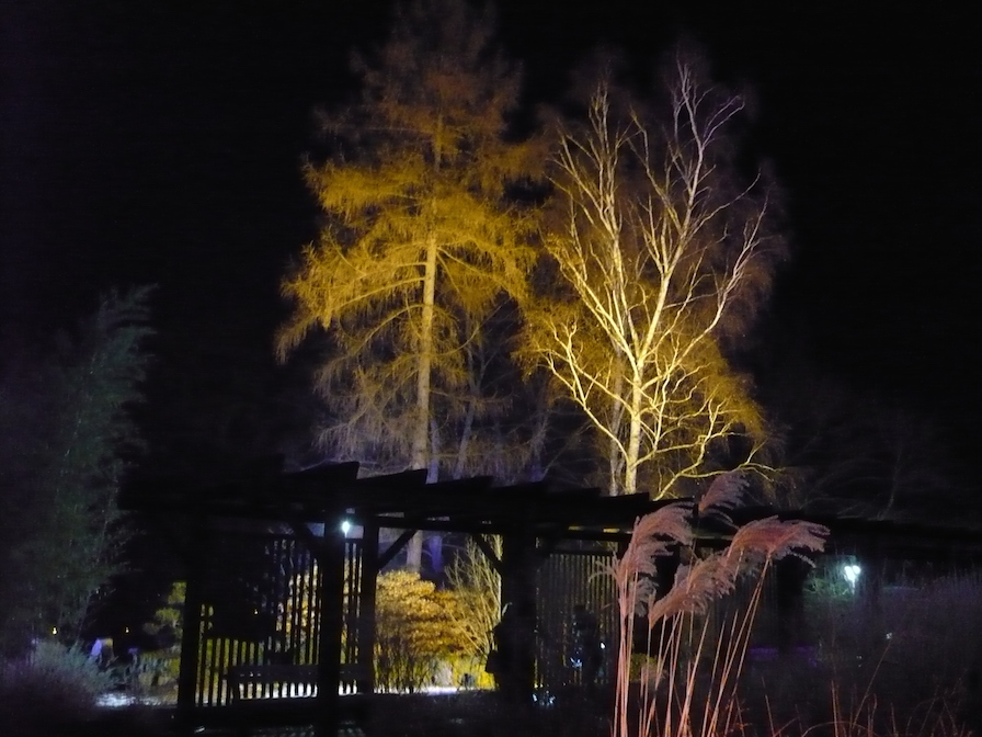 2017-01-29-35-winterleuchten-egapark