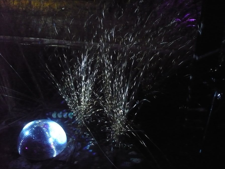 2017-01-29-36-winterleuchten-egapark