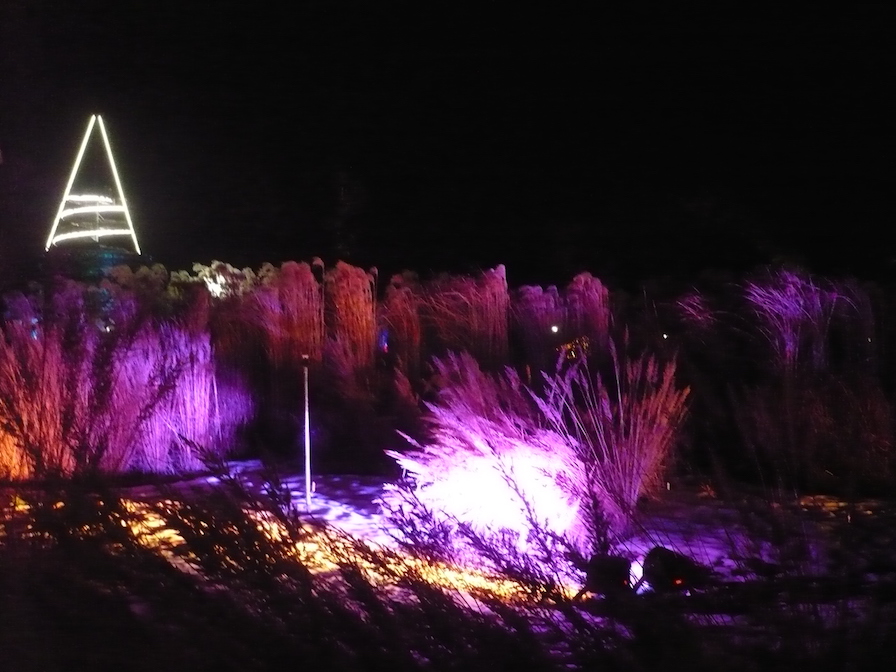 2017-01-29-37-winterleuchten-egapark