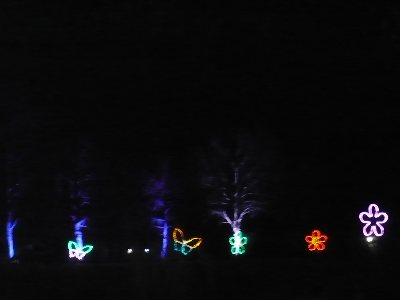 2017-01-29-38-winterleuchten-egapark