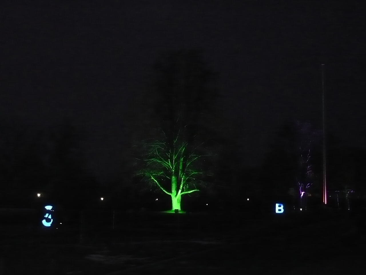 2017-01-29-06-winterleuchten-egapark