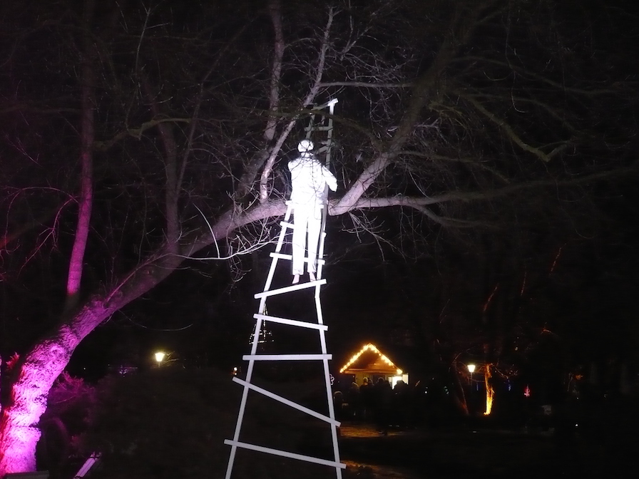 2017-01-29-07-winterleuchten-egapark