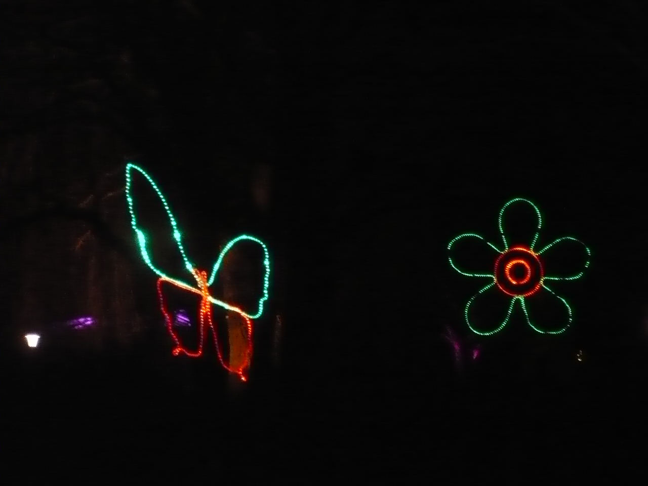 2017-01-29-13-winterleuchten-egapark