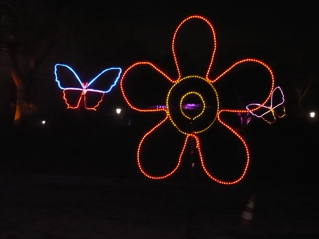 2017-01-29-14-winterleuchten-egapark