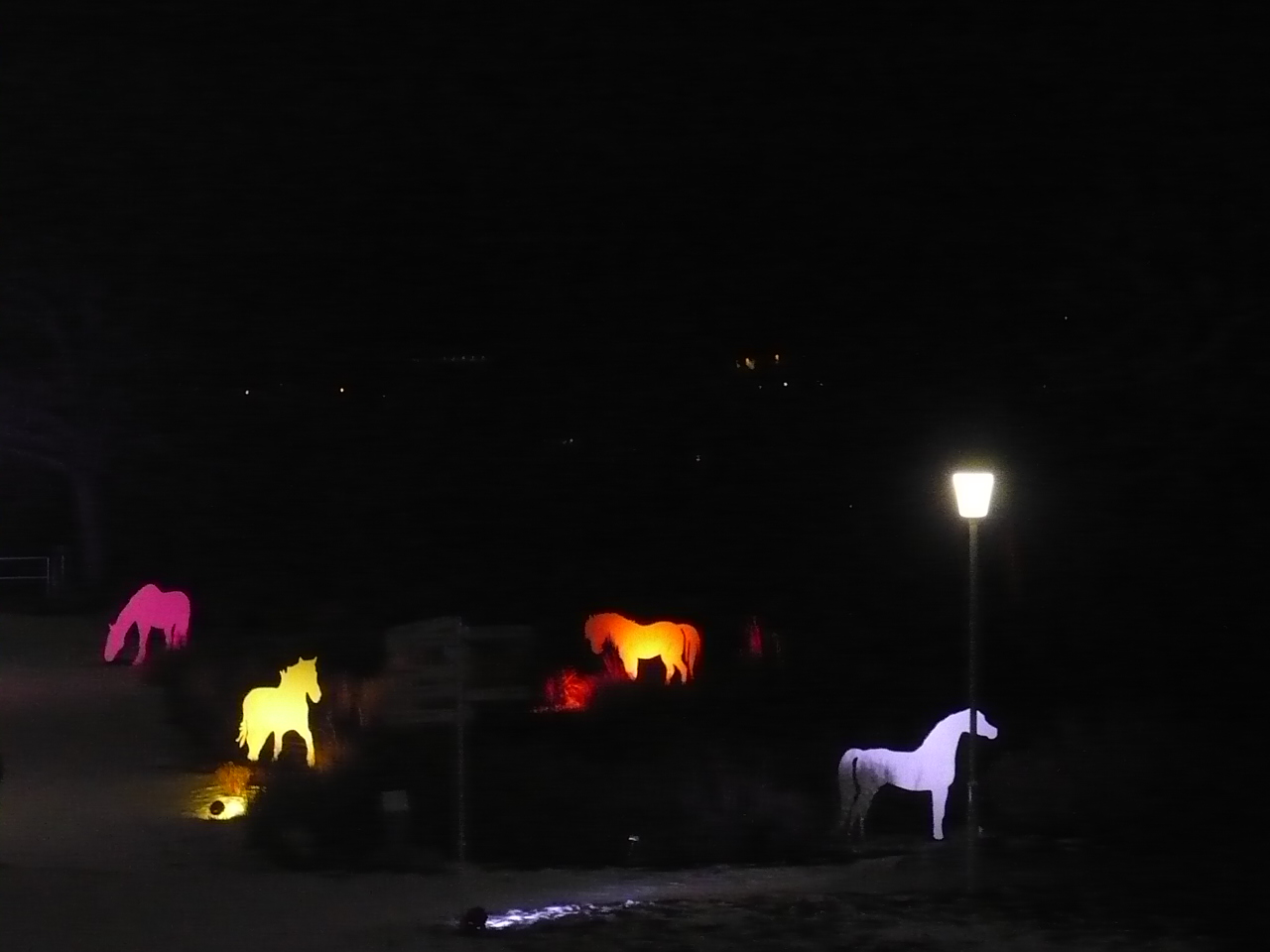 2017-01-29-19-winterleuchten-egapark