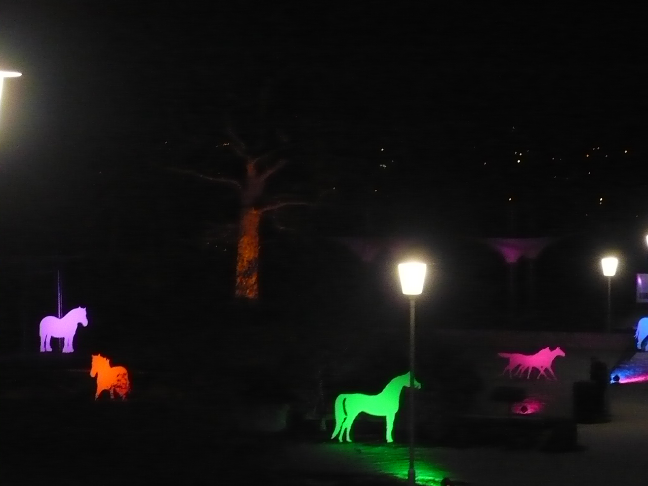 2017-01-29-20-winterleuchten-egapark