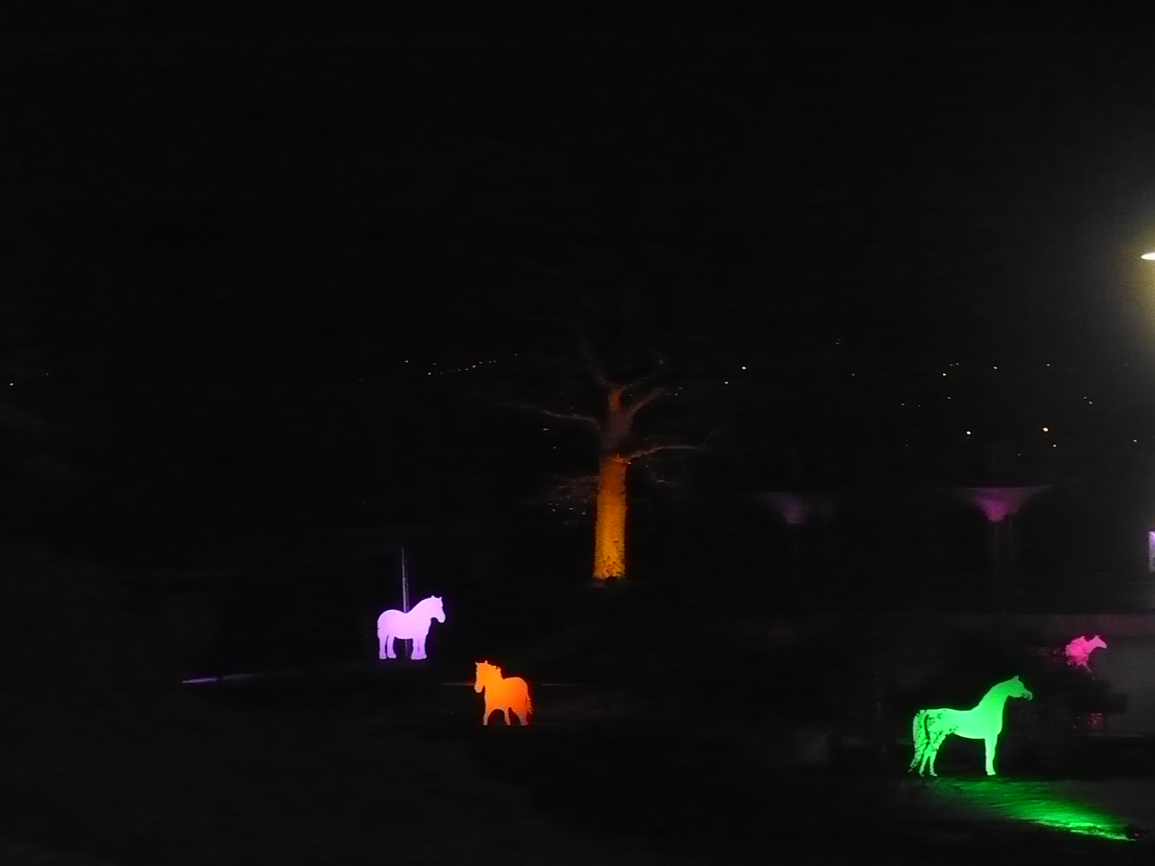 2017-01-29-21-winterleuchten-egapark