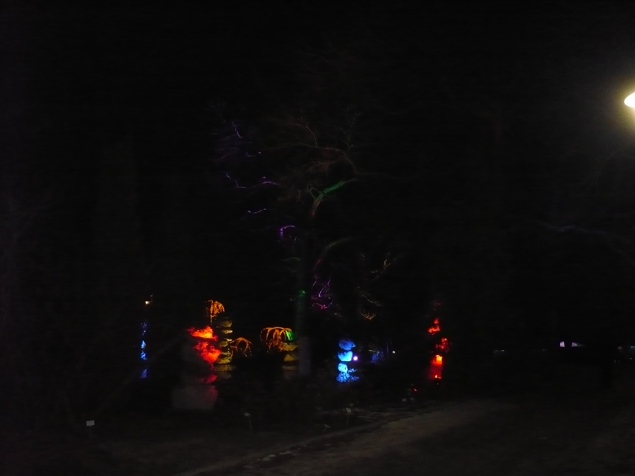 2017-01-29-22-winterleuchten-egapark