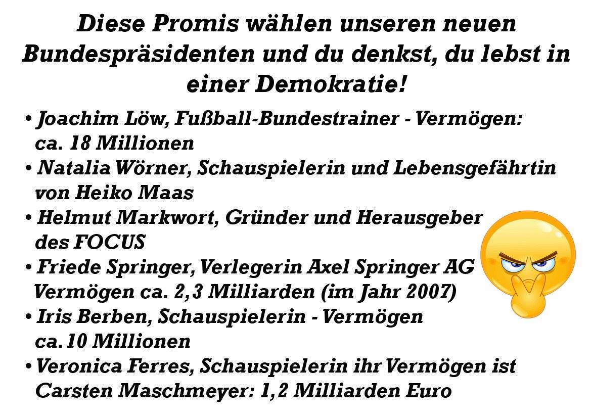 biundespra%cc%88sidentenwahl-2017