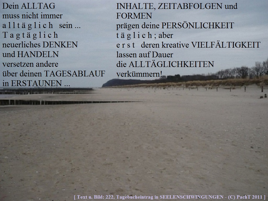 ssw222-gedanke_alltag