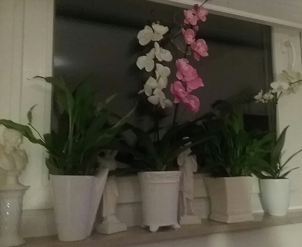 sturmtief-thomas-23-02-17-a