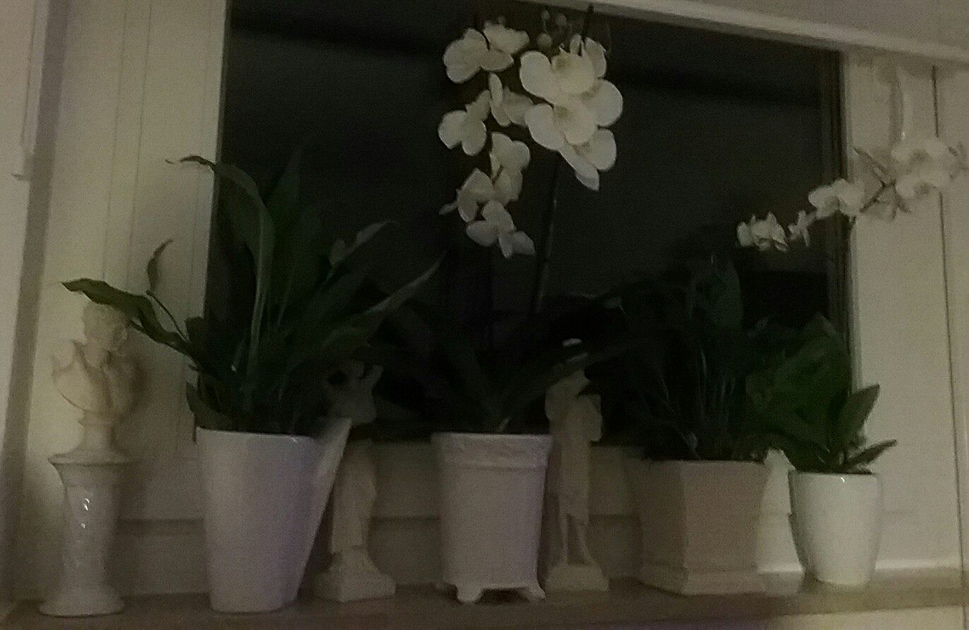 sturmtief-thomas-23-02-17-b