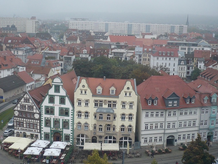 domplatz-ef-umkreis-aus-55m-gesehen_02-gru%cc%88napo_hohelilie